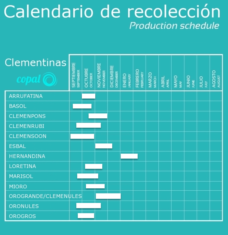 calendario clementinas COPAL