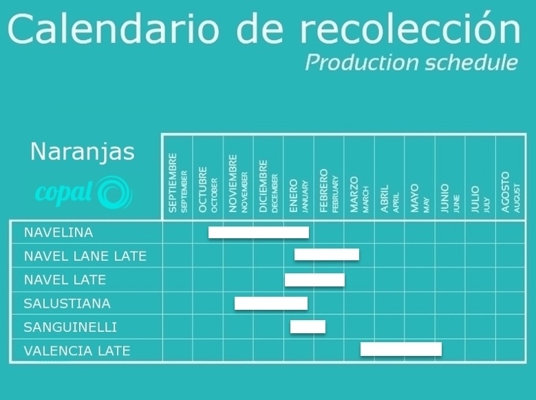 calendario naranjas COPAL